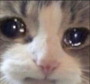 Meet your Posher, [neutral chaos]